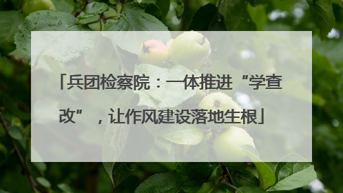 兵团检察院：一体推进“学查改”，让作风建设落地生根