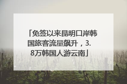 免签以来昆明口岸韩国旅客流量飙升，3.8万韩国人游云南