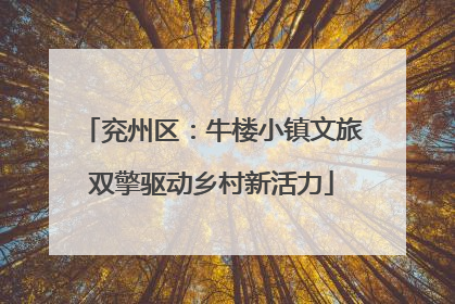 兖州区：牛楼小镇文旅双擎驱动乡村新活力