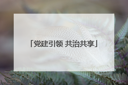 党建引领 共治共享