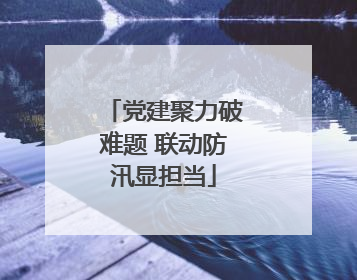 党建聚力破难题 联动防汛显担当