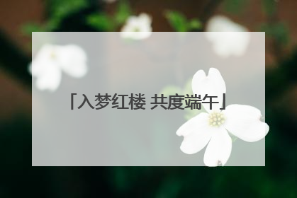 入梦红楼 共度端午