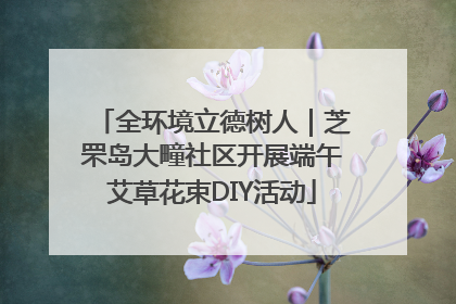 全环境立德树人｜芝罘岛大疃社区开展端午艾草花束DIY活动