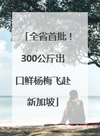 全省首批！300公斤出口鲜杨梅飞赴新加坡
