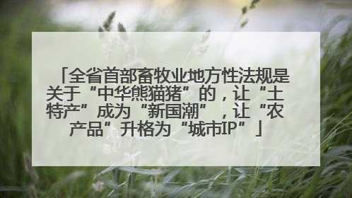 全省首部畜牧业地方性法规是关于“中华熊猫猪”的，让“土特产”成为“新国潮”，让“农产品”升格为“城市IP”