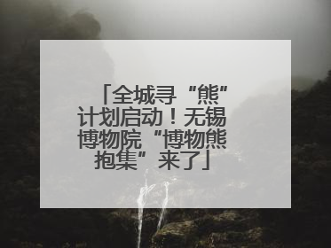 全城寻“熊”计划启动！无锡博物院“博物熊抱集”来了