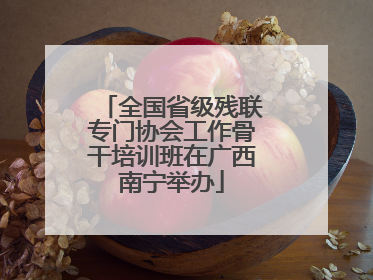 全国省级残联专门协会工作骨干培训班在广西南宁举办