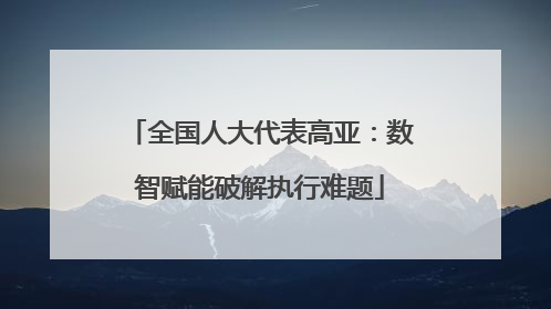 全国人大代表高亚：数智赋能破解执行难题