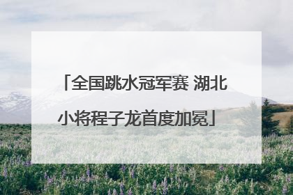 全国跳水冠军赛 湖北小将程子龙首度加冕
