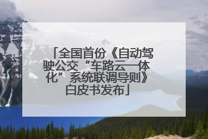 全国首份《自动驾驶公交“车路云一体化”系统联调导则》白皮书发布