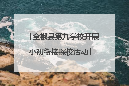 全椒县第九学校开展小初衔接探校活动
