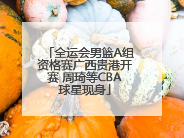 全运会男篮A组资格赛广西贵港开赛 周琦等CBA球星现身