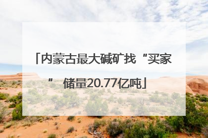内蒙古最大碱矿找“买家” 储量20.77亿吨