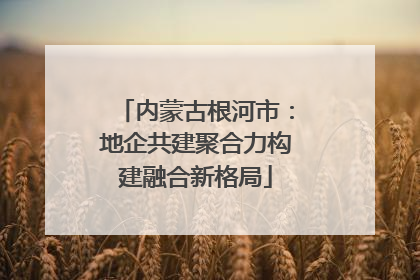 内蒙古根河市：地企共建聚合力构建融合新格局
