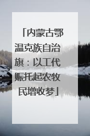 内蒙古鄂温克族自治旗：以工代赈托起农牧民增收梦