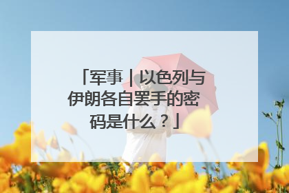 军事｜以色列与伊朗各自罢手的密码是什么？