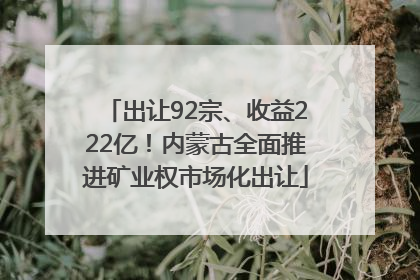 出让92宗、收益222亿！内蒙古全面推进矿业权市场化出让