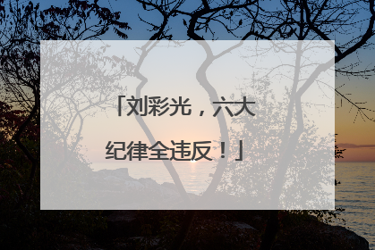 刘彩光，六大纪律全违反！