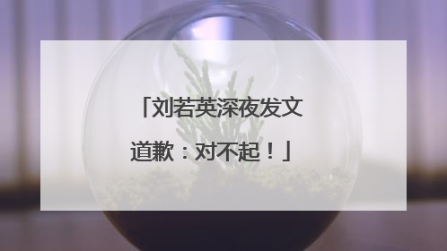 刘若英深夜发文道歉：对不起！