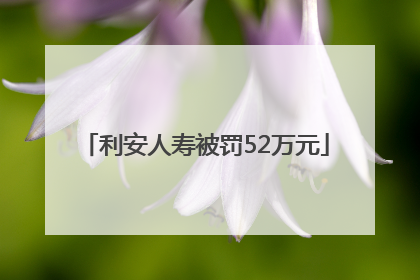 利安人寿被罚52万元