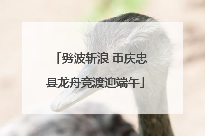 劈波斩浪 重庆忠县龙舟竞渡迎端午