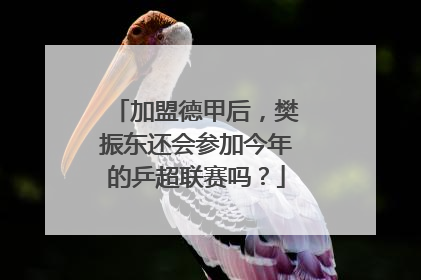 加盟德甲后，樊振东还会参加今年的乒超联赛吗？