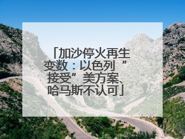 加沙停火再生变数：以色列“接受”美方案、哈马斯不认可