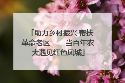助力乡村振兴·帮扶革命老区——当百年农大遇见红色凤城