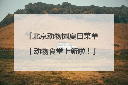 北京动物园夏日菜单丨动物食堂上新啦！