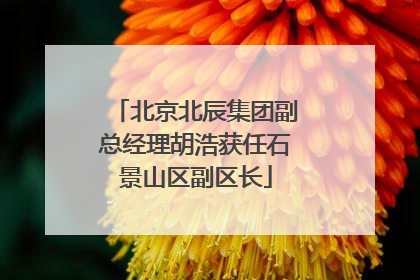 北京北辰集团副总经理胡浩获任石景山区副区长