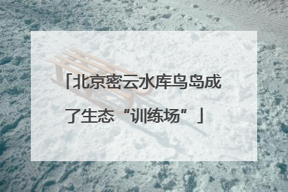 北京密云水库鸟岛成了生态“训练场”