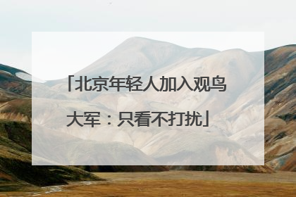 北京年轻人加入观鸟大军：只看不打扰