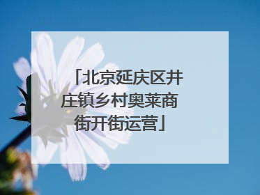 北京延庆区井庄镇乡村奥莱商街开街运营