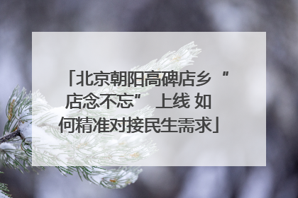 北京朝阳高碑店乡“店念不忘” 上线 如何精准对接民生需求