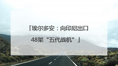 埃尔多安：向印尼出口48架“五代战机”