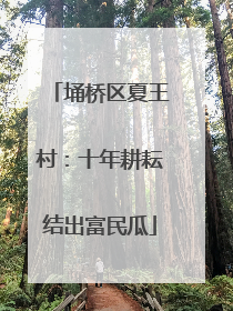 埇桥区夏王村：十年耕耘结出富民瓜