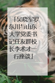 吴晓军罗东川与山东大学党委书记任友群校长李术才一行座谈