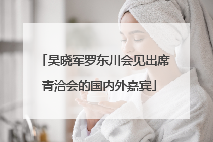 吴晓军罗东川会见出席青洽会的国内外嘉宾
