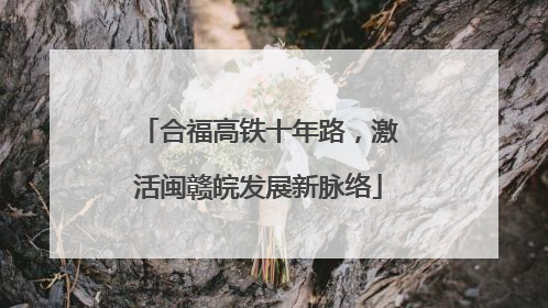 合福高铁十年路，激活闽赣皖发展新脉络