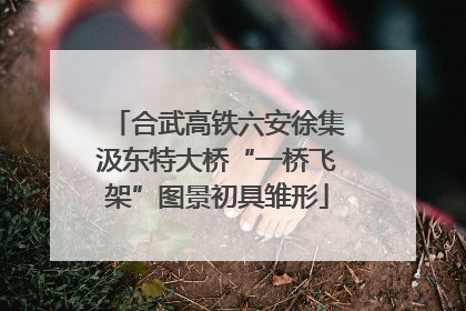 合武高铁六安徐集汲东特大桥“一桥飞架”图景初具雏形