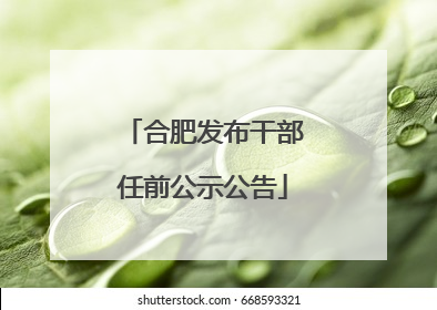 合肥发布干部任前公示公告