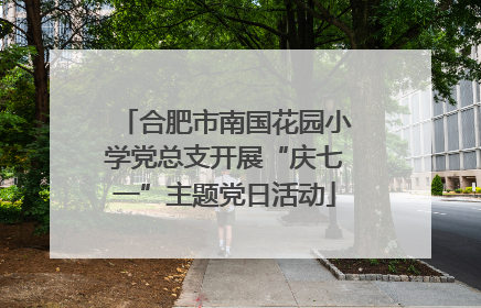 合肥市南国花园小学党总支开展“庆七一”主题党日活动