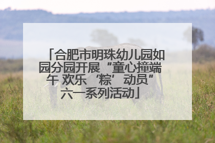 合肥市明珠幼儿园如园分园开展“童心撞端午 欢乐‘粽’动员”六一系列活动