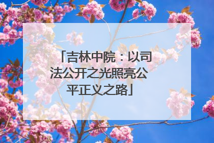 吉林中院：以司法公开之光照亮公平正义之路