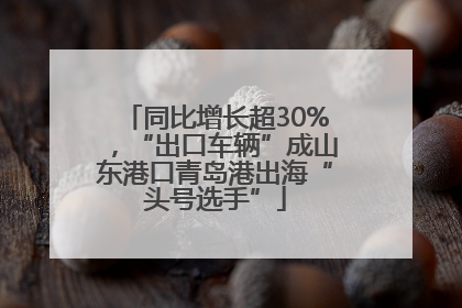 同比增长超30%，“出口车辆”成山东港口青岛港出海“头号选手”