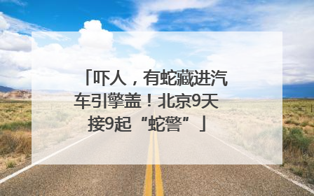 吓人，有蛇藏进汽车引擎盖！北京9天接9起“蛇警”