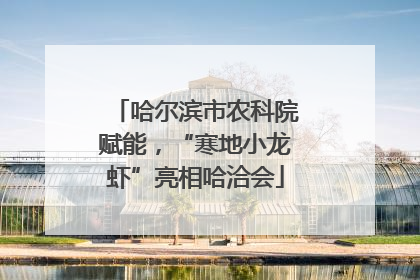 哈尔滨市农科院赋能，“寒地小龙虾”亮相哈洽会