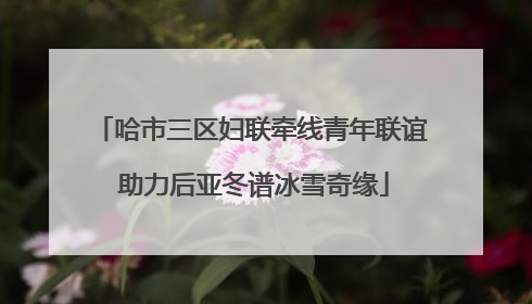 哈市三区妇联牵线青年联谊 助力后亚冬谱冰雪奇缘