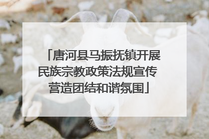 唐河县马振抚镇开展民族宗教政策法规宣传 营造团结和谐氛围