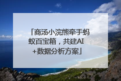商汤小浣熊牵手蚂蚁百宝箱，共建AI+数据分析方案
